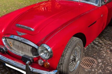 Austin Healey Andere 53.548 km 28.000 &euro; Dresden 01309