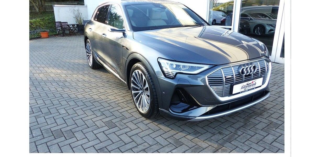 Audi e-tron 90.890 km 41.980 &euro; Dippoldiswalde 01744