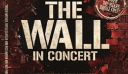 Pink Floyd's The Wall