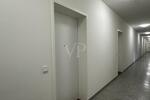 Erdgeschoßwohnung Dresden - 1 Zimmer, 56 m&sup2;, 1.365&euro; | Angebot:25581956