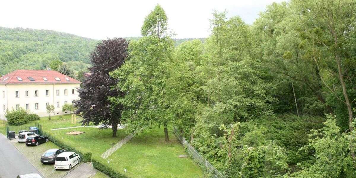 Etagenwohnung Pirna Neundorf - 2 Zimmer, 51 m&sup2;, 338&euro; | Angebot:27208591