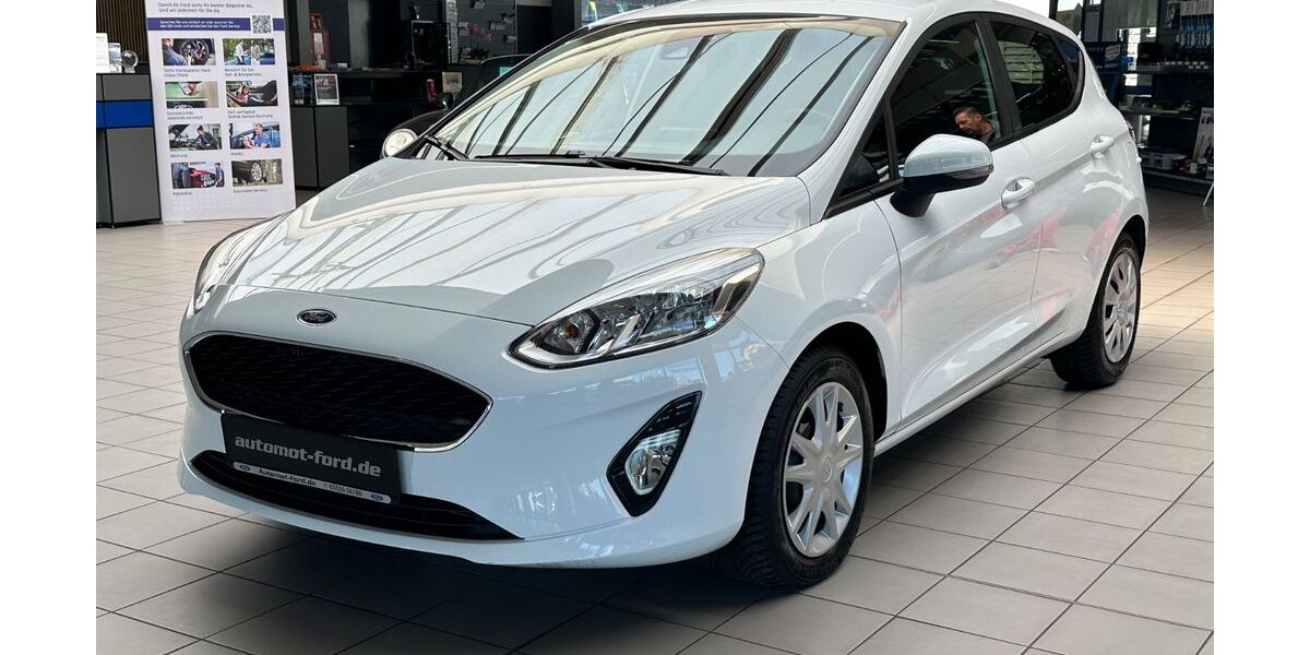 Ford Fiesta 128.224 km 8.590 &euro; Heidenau 01809