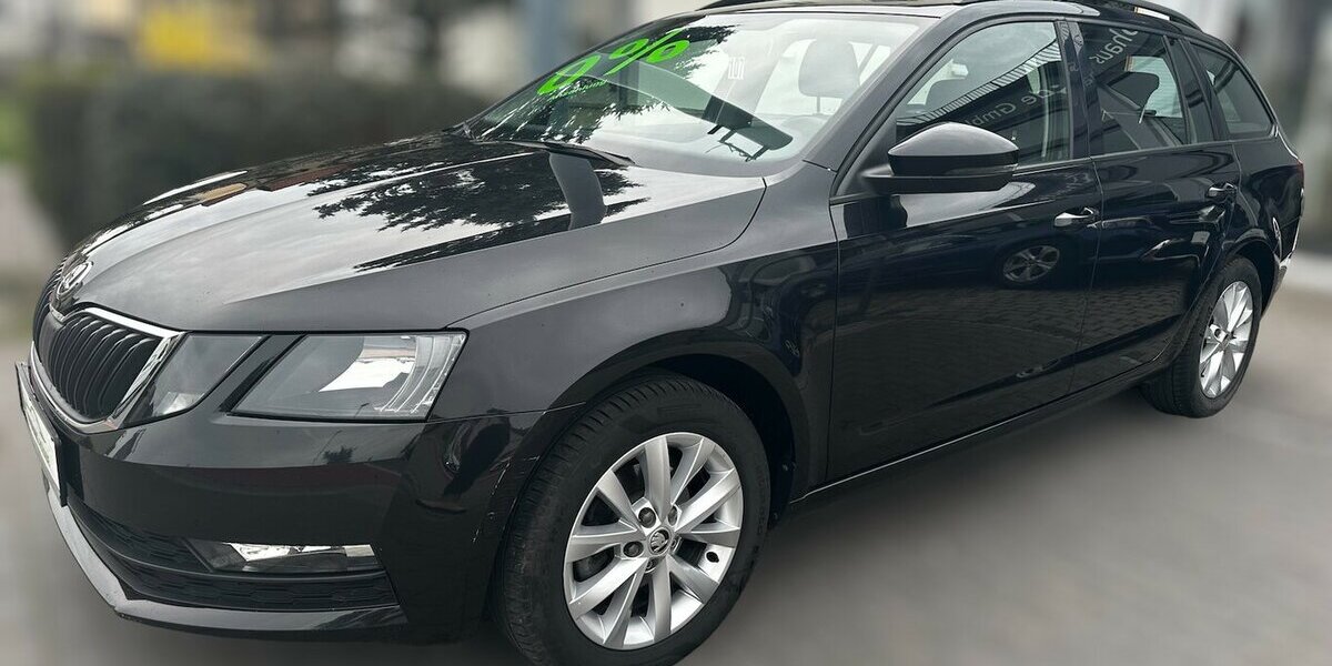Skoda Octavia Combi Ambition 168.822 km 10.995 &euro; Meißen 01662