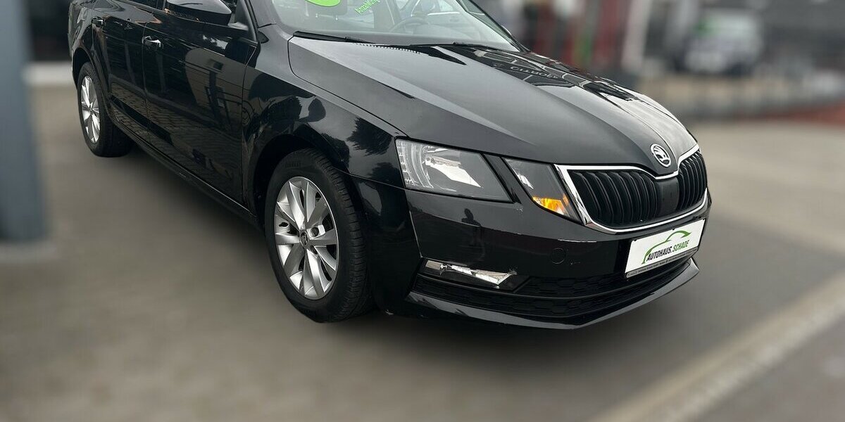 Skoda Octavia Combi Ambition 168.822 km 10.995 &euro; Meißen 01662