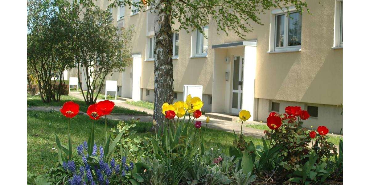 Etagenwohnung Pirna - 3 Zimmer, 57 m&sup2;, 354&euro; | Angebot:23713051