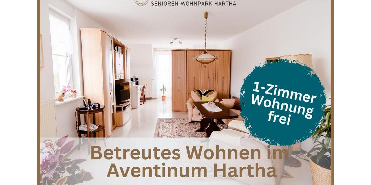 Etagenwohnung Tharandt - 1 Zimmer, 43 m&sup2;, 384&euro; | Angebot:26249444