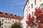 Etagenwohnung Dresden Neustadt - 2 Zimmer, 54 m&sup2;, 636&euro; | Angebot:26640887