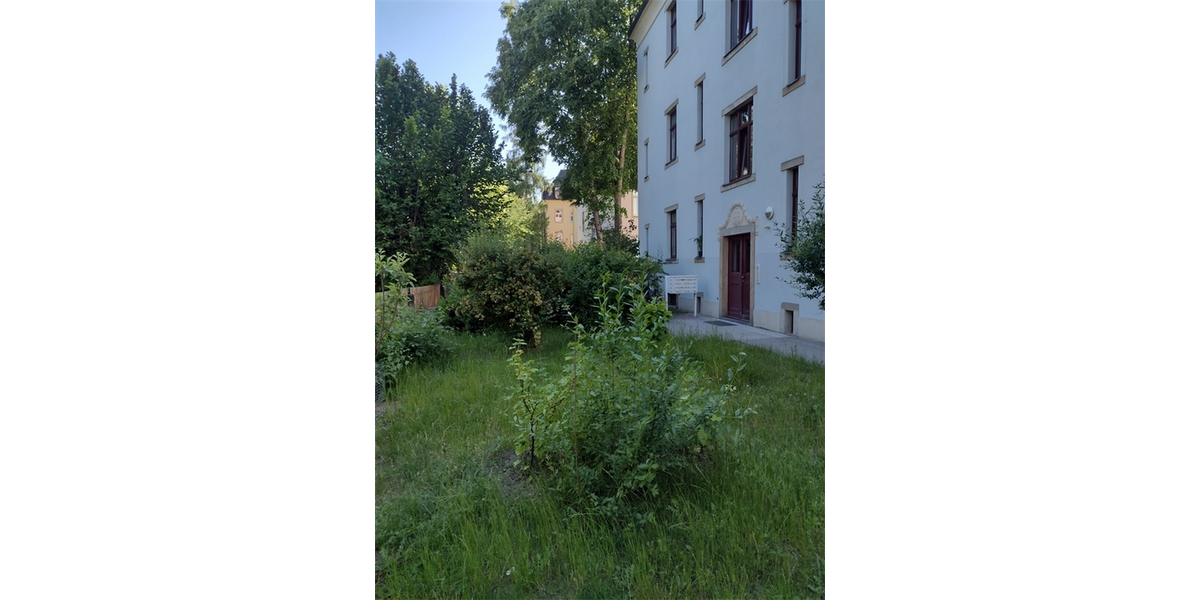 IMG_20230530_164619200_HDR