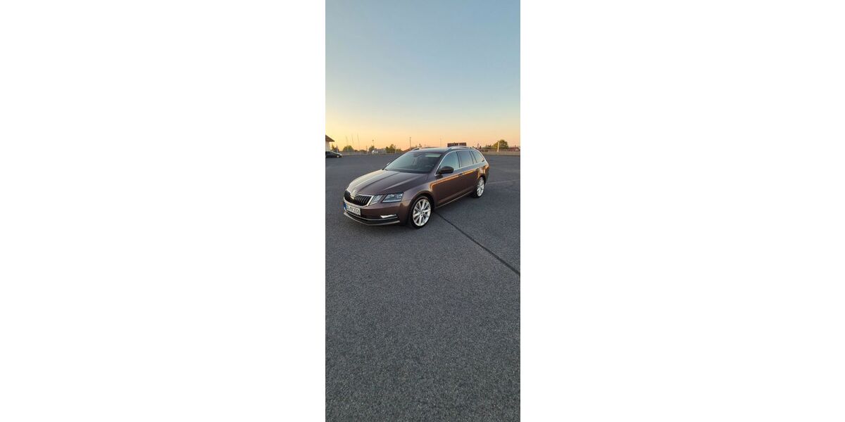 Skoda Octavia 204.000 km 15.500 &euro; Dresden 01169