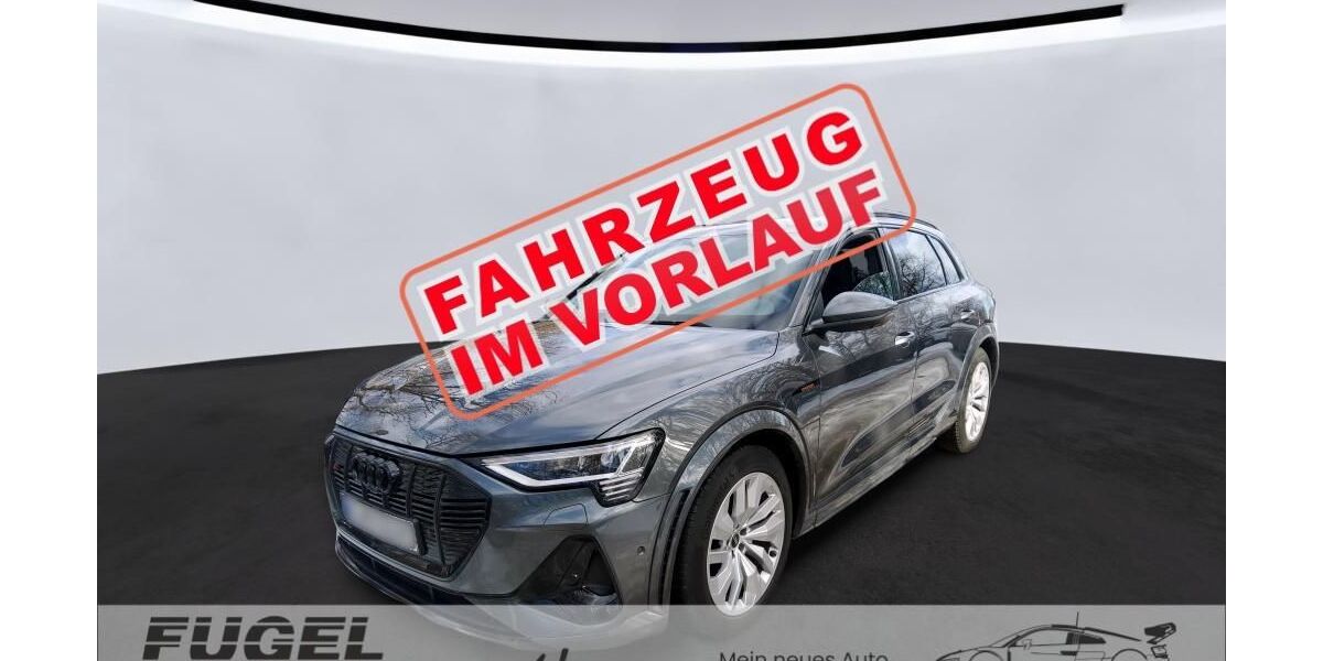 Audi e-tron 79.580 km 39.899 &euro; Dresden 01157