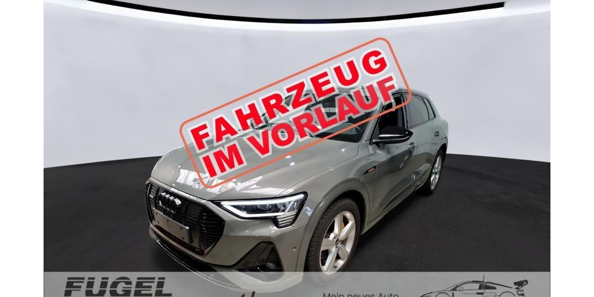 Audi e-tron 37.050 km 36.899 &euro; Dresden 01157
